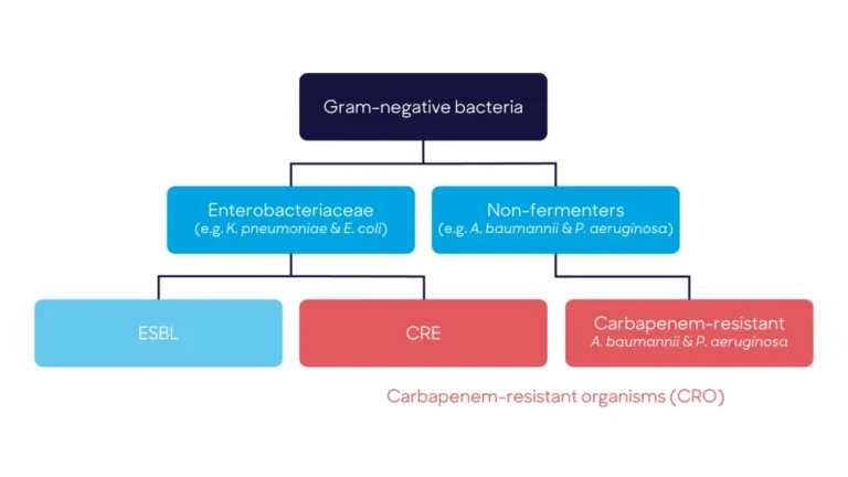 Vodič kroz ESBL, CPE i druge Gram-negativne bakterije otporne na antibiotike